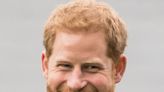 Everything You Ever Wanted to Know About Prince Harry