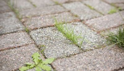 Weeding hack kills 'patio weeds the same day' without using vinegar or toxic chemicals