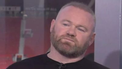 'I've seen it!' - Wayne Rooney launches extraordinary attack on injured Manchester United players