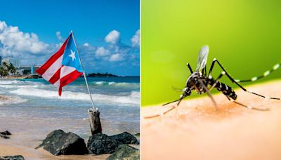 Puerto Rico Declares Dengue Fever Epidemic amid Spike in Cases