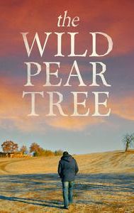 The Wild Pear Tree