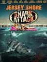 Jersey Shore Shark Attack