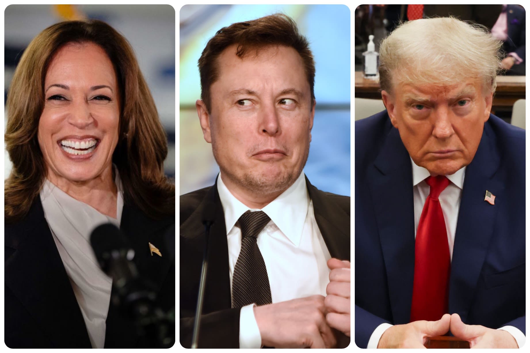 Harris Campaign Cackles At Elon Musk & Deleterious Dorito's Disastrous Interview, Slams 'Self-Obsessed Rich Guys' Who Can't Run...