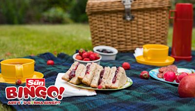 Get a Sun Bingo Summer Treat to enhance your next picnic