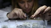 Are Russian diamonds now conflict diamonds? Depends on who you ask