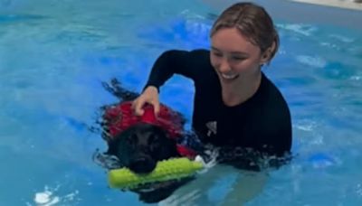 Celtic star and his Wag spotted in pool teaching their dog to swim as fans say ‘this made my day’