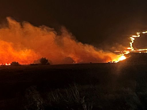 Arrestan a un hombre sospechoso de provocar un incendio forestal en California