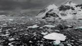 ‘Astonishing’ Antarctica heat wave sends temperatures 50 degrees above normal