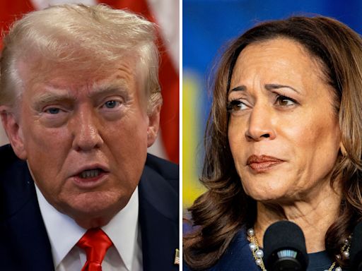 Kamala Harris leads Donald Trump in more than a dozen national polls