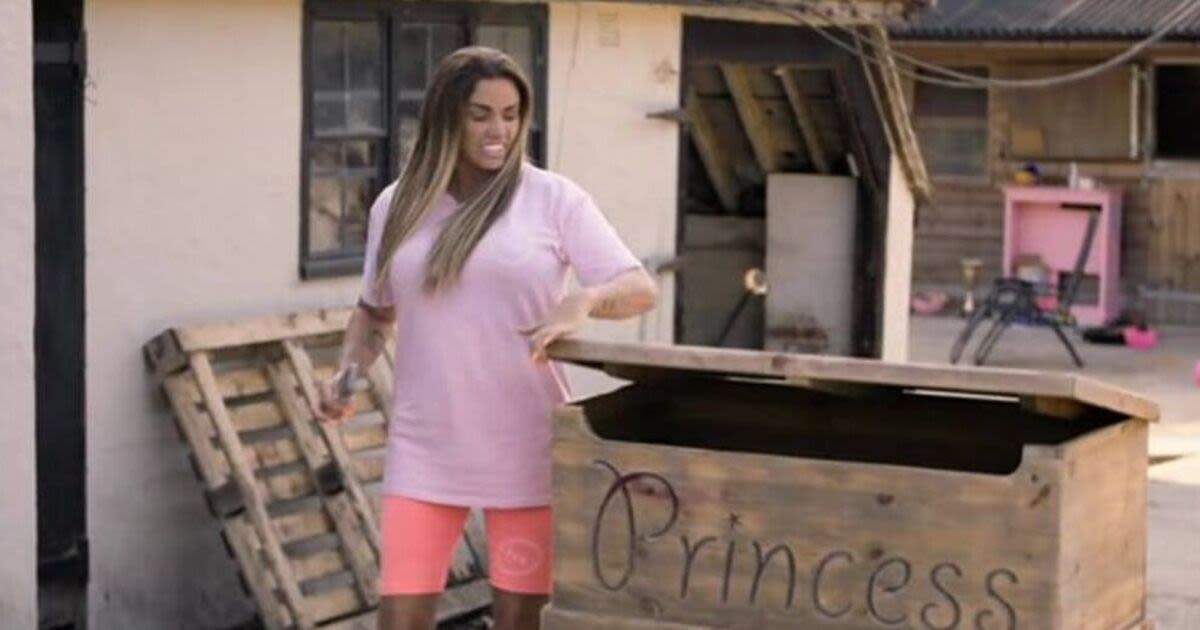 Katie Price 'desperate' to save Mucky Mansion as she's evicted over £3m debt