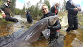 Earth Week Plus offering guided sturgeon viewing May 13