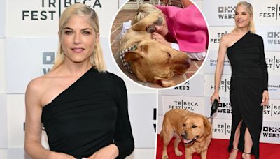 Selma Blair hits the red carpet with her service dog Scout at the Tribeca Film Festival