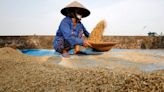 Soft demand weighs on Thai rice rates, floods ravage crops in Bangladesh