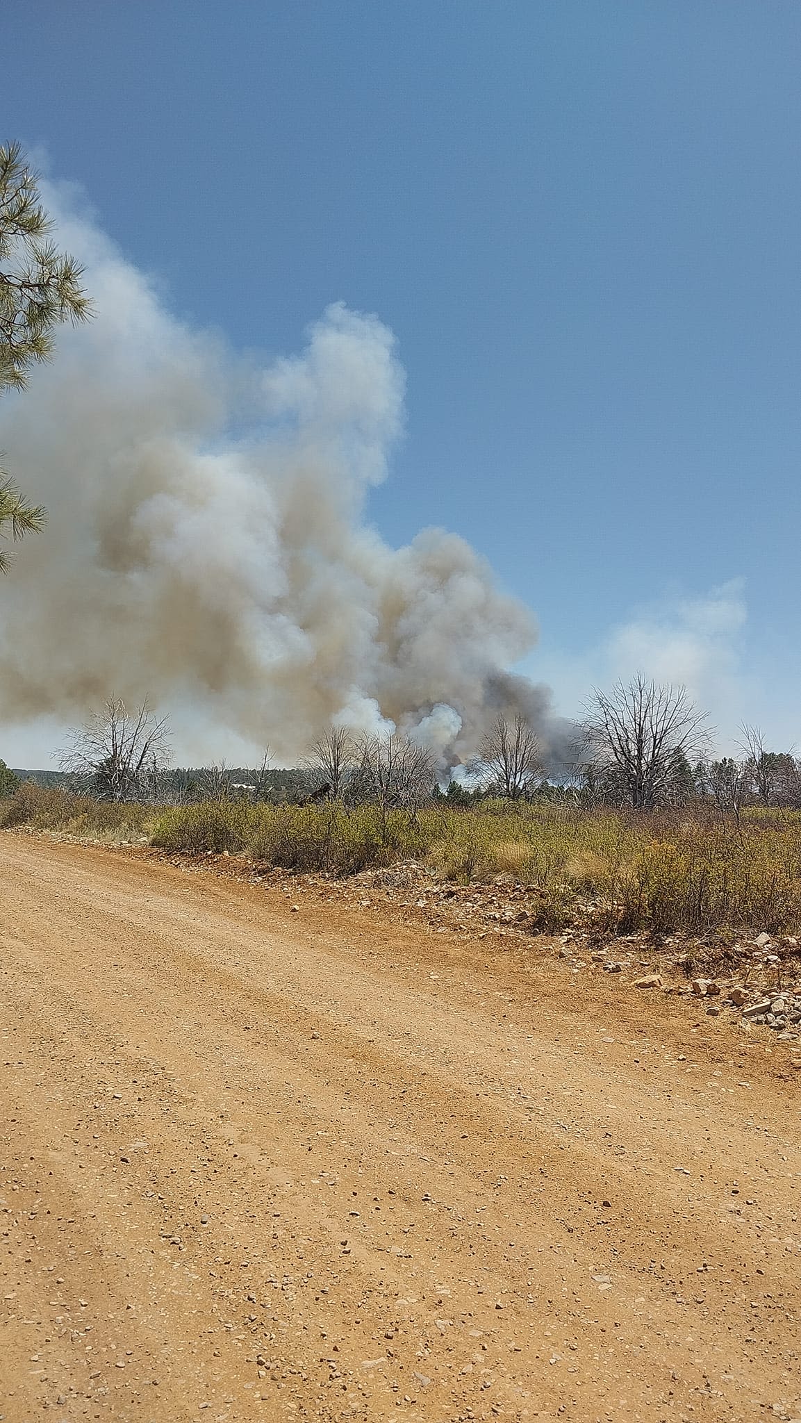 Oakmont wildfire prompts evacuations in Timberon