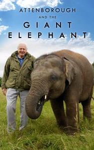 Attenborough and the Giant Elephant