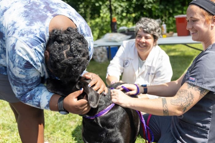 Humane Society of Huron Valley to offer free vaccines to Washtenaw County pets in May