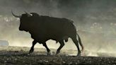 3 No-Brainer Stocks to Buy Before a Bull Run