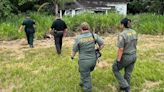 Kids Discover Skeletal Remains While Playing in Abandoned Florida House