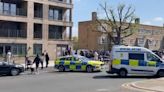 Woman stabbed to death in busy London street