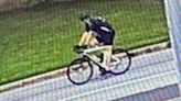 Can you help ID a bicycle rider who struck an elementary student in Dover Township?