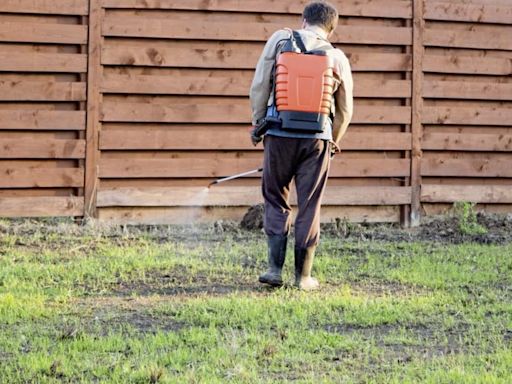 Weed killer review urged as it emerges that 12,000 miles of verges were sprayed in past year