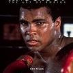 Knockout: The Art of Boxing