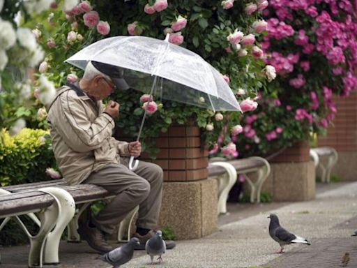 日本65歲以上長者人數創新高 在職高齡者達914萬人