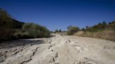 Tourist boats marooned, farm land parched as drought lowers Europe's rivers