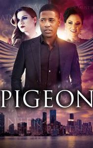 Pigeon