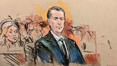 Hunter Biden next faces sentencing in gun case