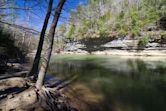 William B. Bankhead National Forest