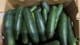 Cucumbers shipped to Ohio recalled over possible salmonella contamination