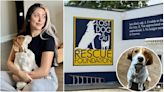 Hispana lleva a su perro a refugio para aplicarle la eutanasia; un año después descubre que es dado en adopción