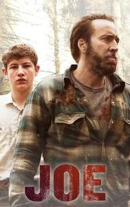 Joe (2013 film)