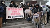 Corea del Sur prohíbe la venta de carne de perro pese a la oposición de las viejas generaciones