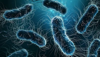 超級細菌再進化！「困難梭菌」剋星萬古黴素恐失效 - 自由健康網