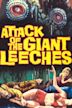 Attack of the Giant Leeches