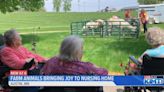Farm animals bringing joy to an Austin nursing home
