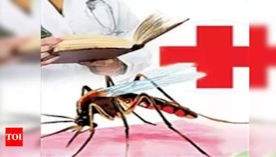 Surging dengue virus in Bengaluru poses threat to women, kids: Doctors | Bengaluru News - Times of India