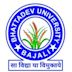 Bhattadev University