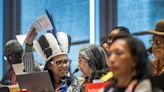 Celebrations as new biopiracy treaty agreed at UN