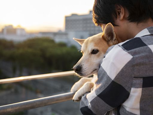 信義房屋從地方需求出發 興建5座浪浪屋打造動物共融基地