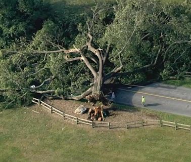 Power outages and damage reported across Pennsylvania, South Jersey and Delaware after storms