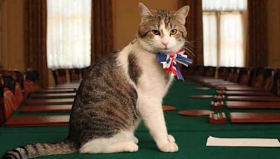 Larry The Cat Awaits Sixth Prime Minister As UK Election Nears