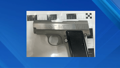 NY man traveling to France arrested at Newark Airport for carrying gun: TSA