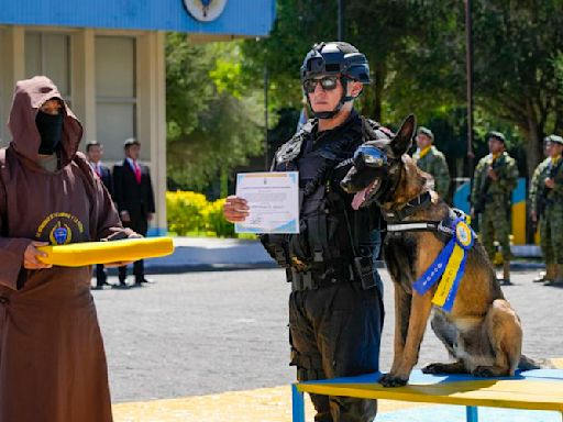 Ecuador condecora a 5 perros de inteligencia militar