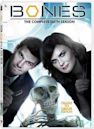 Bones season 6