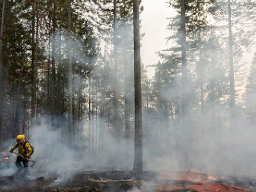 Crews make progress as massive Park fire swells beyond 350,000 acres