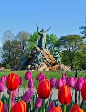 Washington Park Historic District (Albany, New York)