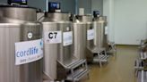 Cordlife posts net loss of $11.57 mil for 1QFY2024 due to refund fulfilment